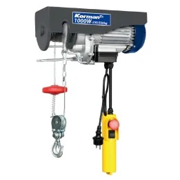 Palan électrique 1000W 250/500Kg
