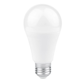AMPOULE LED 12W BLC CHAUD E27