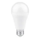 Ampoule LED E27 et E14