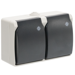 Double Prise Etanche 2P+T 16A IP54 Gris NALTO