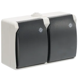 Double Prise Etanche 2P+T 16A IP54 Gris NALTO