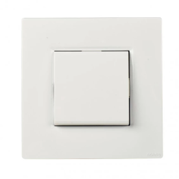 NOANE Interrupteur Poussoir 10A Complet Blanc