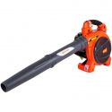 Aspirateur souffleur