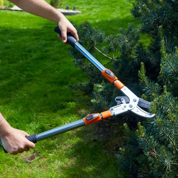 Coupe Branches à Crémaillère Ø 45mm Manche Téléscopique 68cm à 95cm KRISALYS