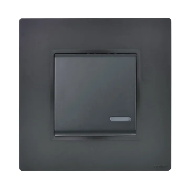 Interrupteur Lumineux + Support Anthracite NOANE