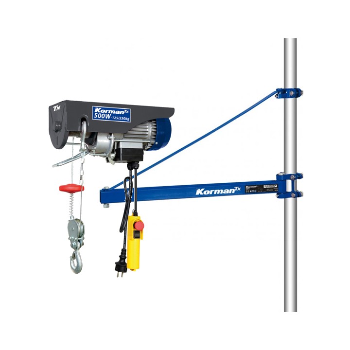 Palan Electrique 500W 125/250Kg + Support 600Kg - 750mm