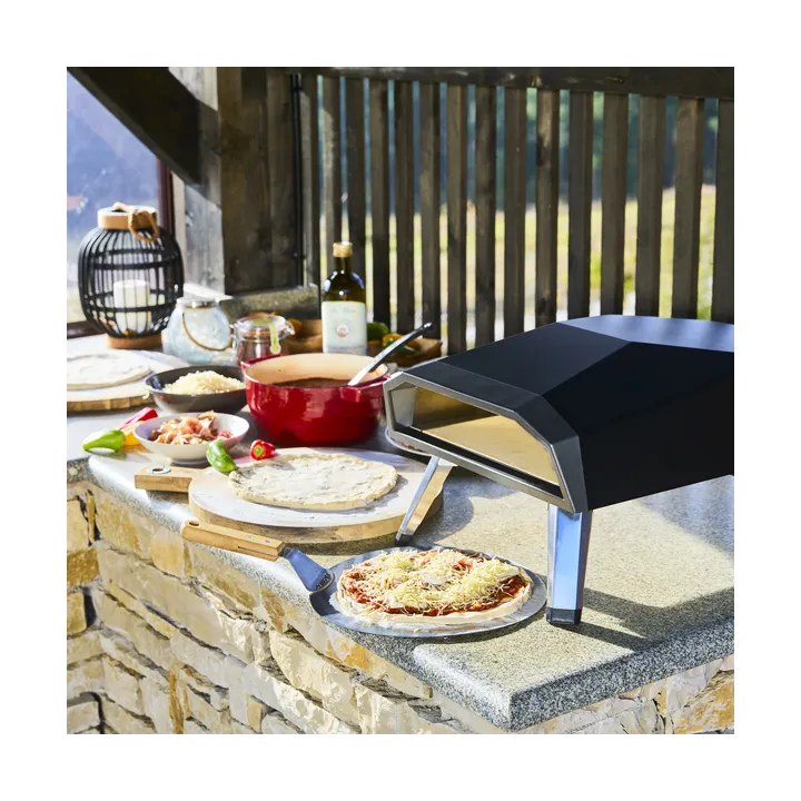 Four à Pizza à Gaz + Pelle à Pizza Offerte ROSTER