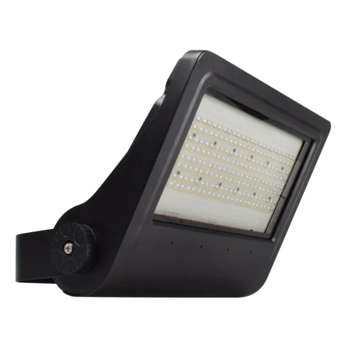 Projecteur à LED 100W Woltz