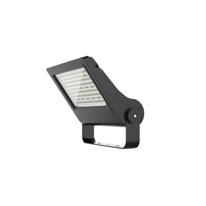 Projecteur à LED 100W Woltz