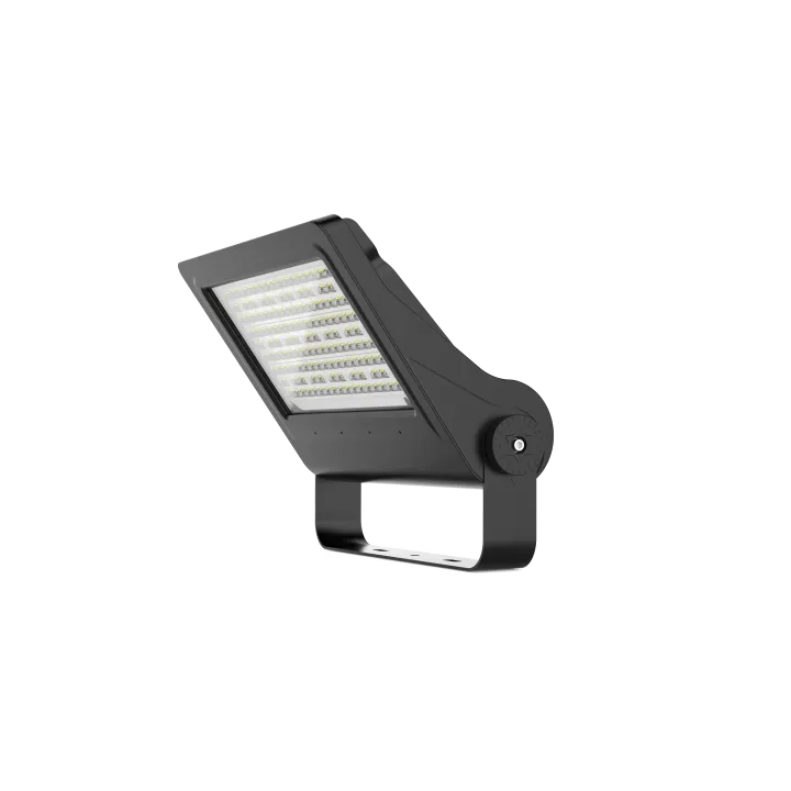 Projecteur à LED 100W Woltz
