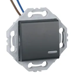 Interrupteur Poussoir à Voyant Lumineux + Support Anthracite NOANE