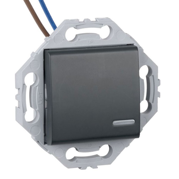 Interrupteur Poussoir à Voyant Lumineux + Support Anthracite NOANE