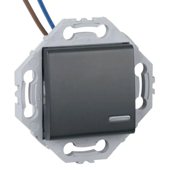 Interrupteur Poussoir à Voyant Lumineux + Support Anthracite NOANE