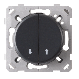 Commande Volet Roulant Anthracite EPURE