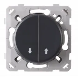 Commande Volet Roulant Anthracite EPURE
