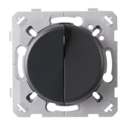 Interrupteur Va et vient + Poussoir Droite Anthracite EPURE