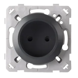 Prise 2 Poles Anthracite EPURE