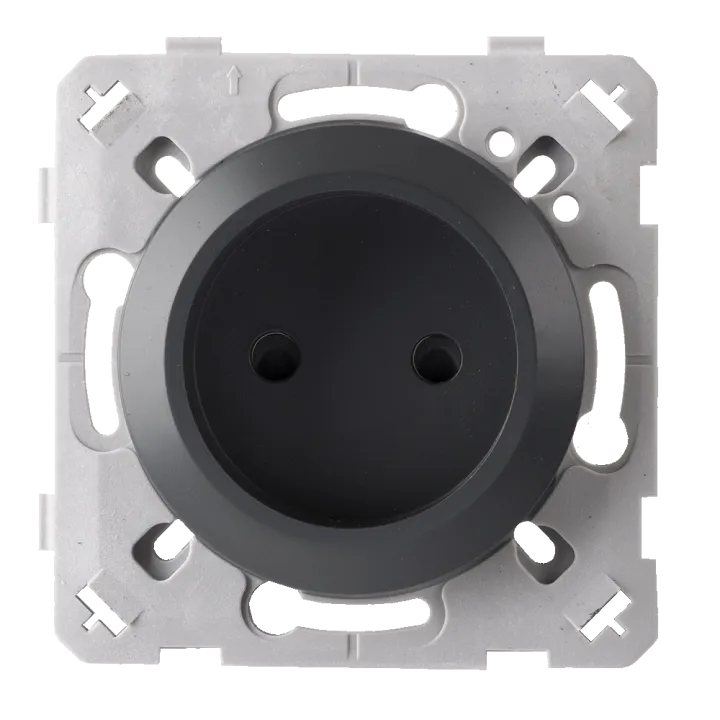 Prise 2 Poles Anthracite EPURE