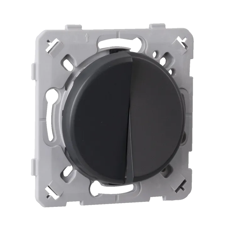 Interrupteur Va et vient + Poussoir Droite Anthracite EPURE