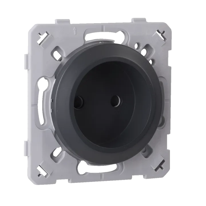 Prise 2 Poles Anthracite EPURE