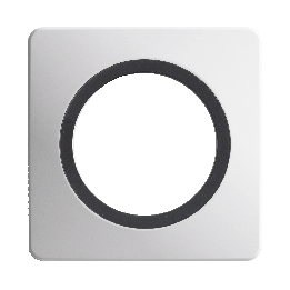 Plaque Simple Blanc Insert Anthracite Mat EPURE