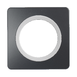 Plaque Simple Gris Anthracite Insert Blanc EPURE