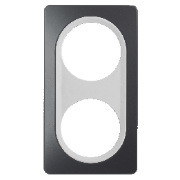 Plaque Double Gris Anthracite Insert Blanc EPURE