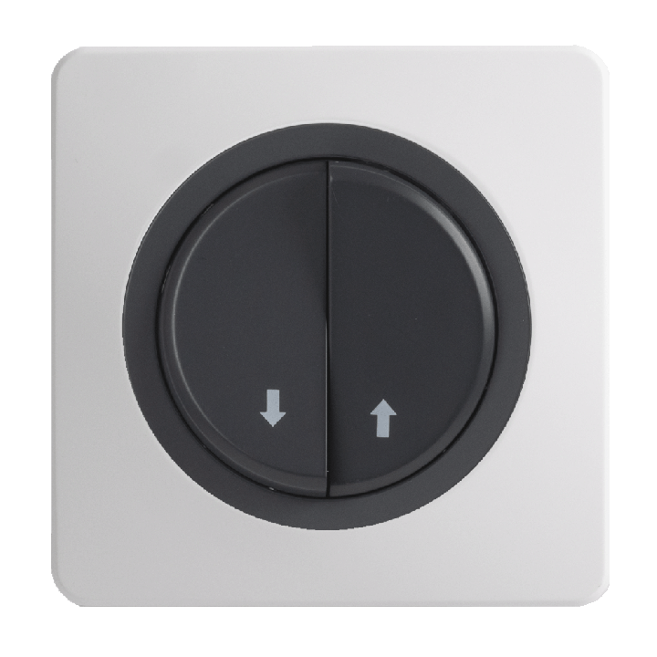 OHMTEC Epure Commande Volet Roulant Anthracite 