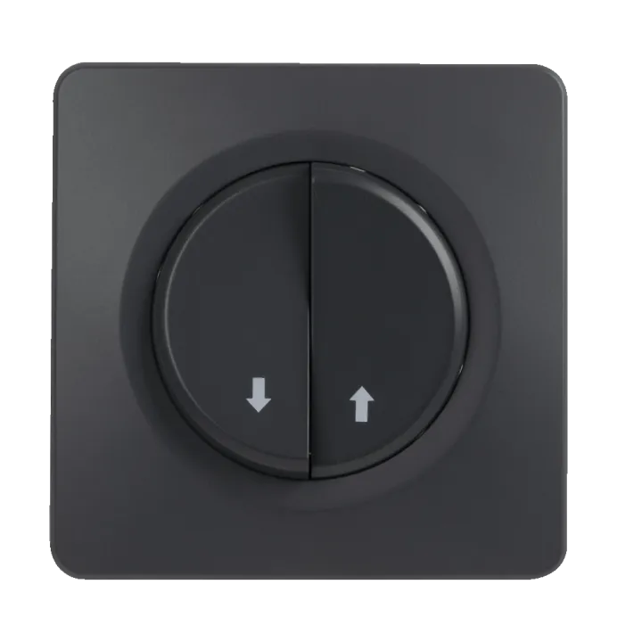 OHMTEC Epure Commande Volet Roulant Anthracite 