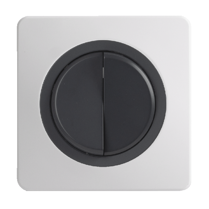 OHMTEC Epure Interrupteur Va et vient + Poussoir Gauche Anthracite 