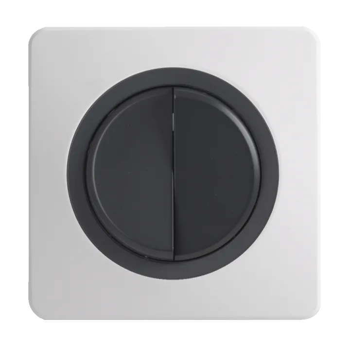 OHMTEC Epure Interrupteur Va et vient + Poussoir Gauche Anthracite 