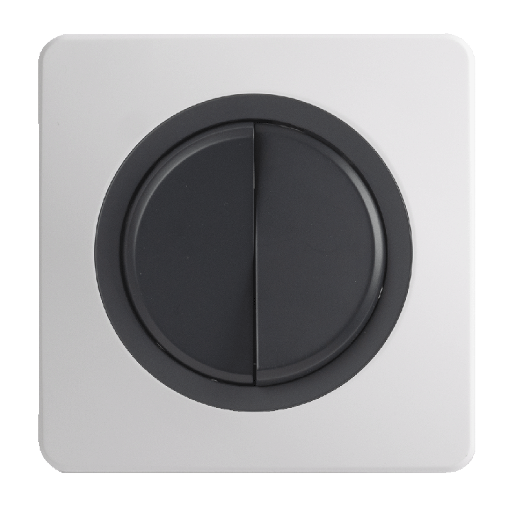 OHMTEC Epure Interrupteur Va et vient + Poussoir Droite Anthracite 