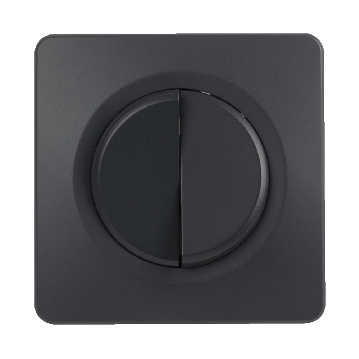 OHMTEC Epure Interrupteur Va et vient + Poussoir Droite Anthracite 