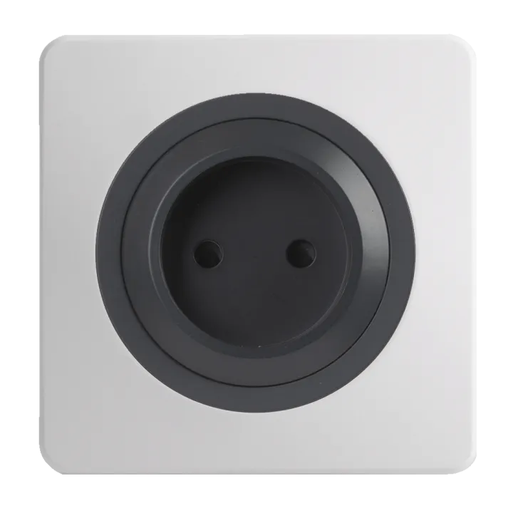 OHMTEC Epure Prise 2 Poles Anthracite 