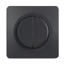 OHMTEC Epure Interrupteur Va et vient + Poussoir Gauche Anthracite 