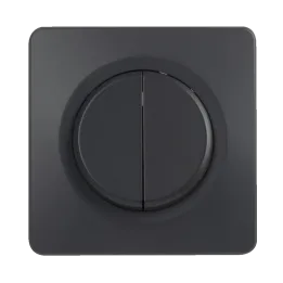 OHMTEC Epure Interrupteur Va et vient + Poussoir Gauche Anthracite 