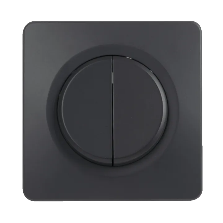 OHMTEC Epure Interrupteur Va et vient + Poussoir Gauche Anthracite 