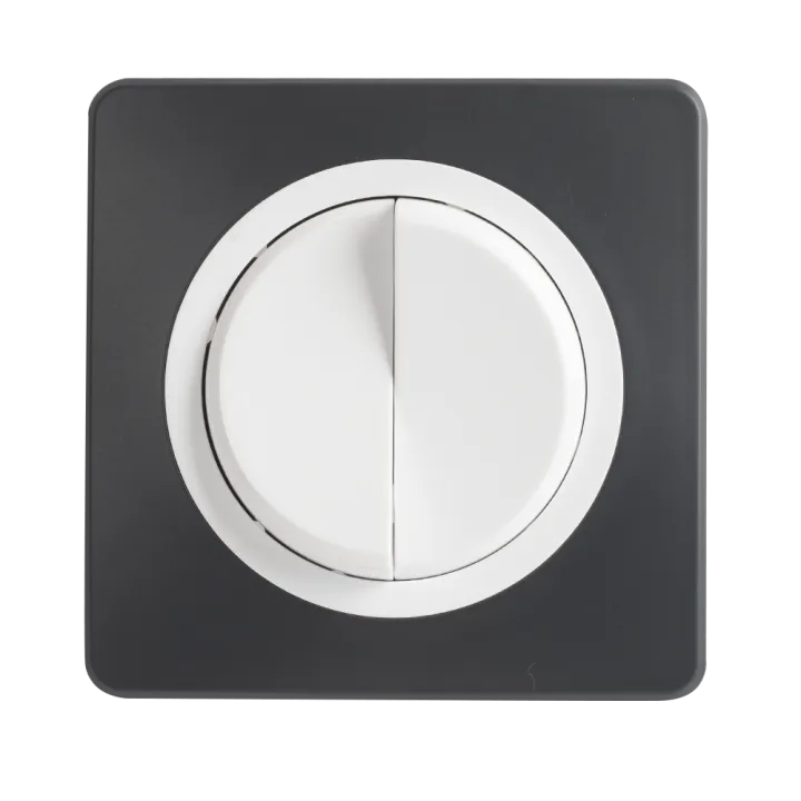 OHMTEC Epure Double interrupteur Va et vient Blanc 