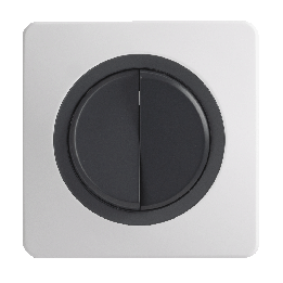OHMTEC Epure Interrupteur Va et vient + Poussoir Gauche Anthracite 