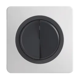 OHMTEC Epure Interrupteur Va et vient + Poussoir Gauche Anthracite 