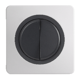 OHMTEC Epure Interrupteur Va et vient + Poussoir Droite Anthracite 