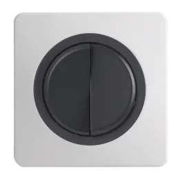 OHMTEC Epure Interrupteur Va et vient + Poussoir Droite Anthracite 