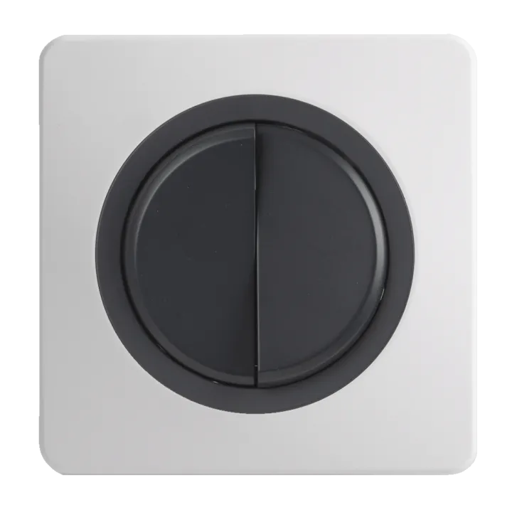 OHMTEC Epure Interrupteur Va et vient + Poussoir Droite Anthracite 