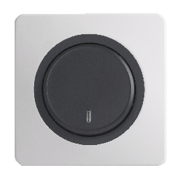 OHMTEC Epure Interrupteur Va et vient à voyant Anthracite 