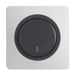 OHMTEC Epure Interrupteur Va et vient à voyant Anthracite 
