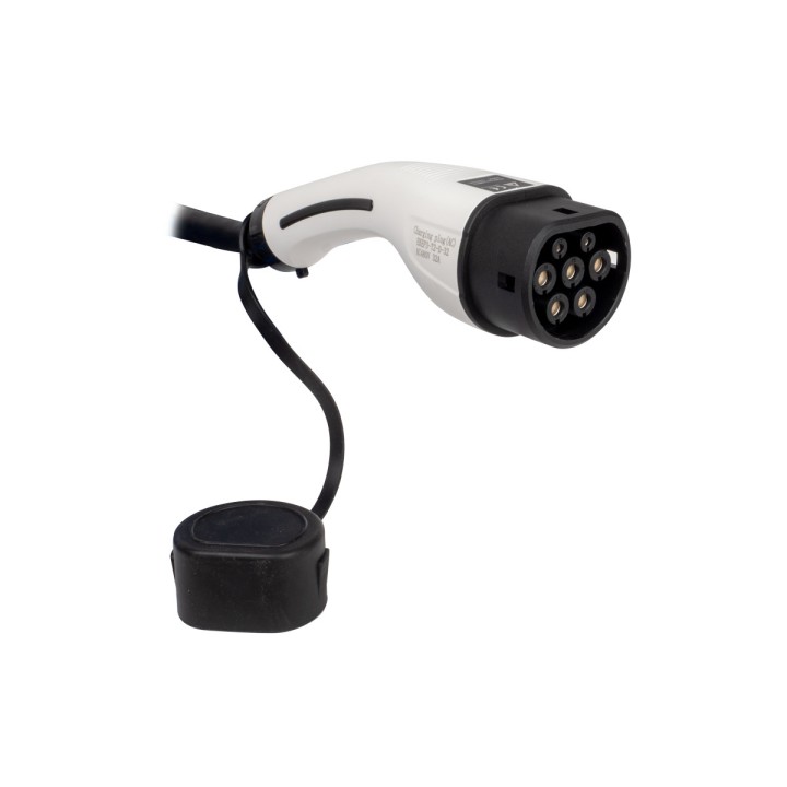 Câble charge T2 32A 3x6mm² +20,5mm² 230V monophasé 5m mâle OHMTEC