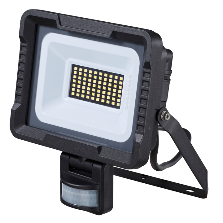 Projecteur LED extérieur à détection à fixer 30W noir WOLTZ
