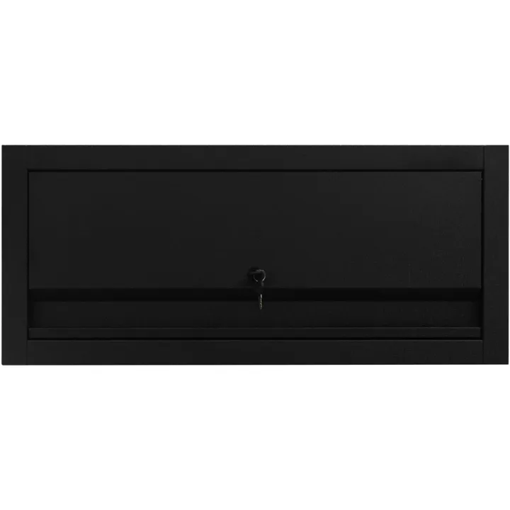 Armoire d’atelier avec vérins à gaz intégrés L 80 x H 35 x P 25 cm FEROCE