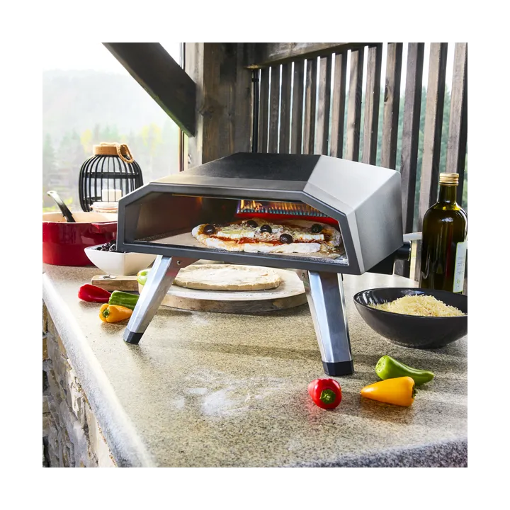 Four à Pizza à Gaz + Pelle à Pizza Offerte ROSTER