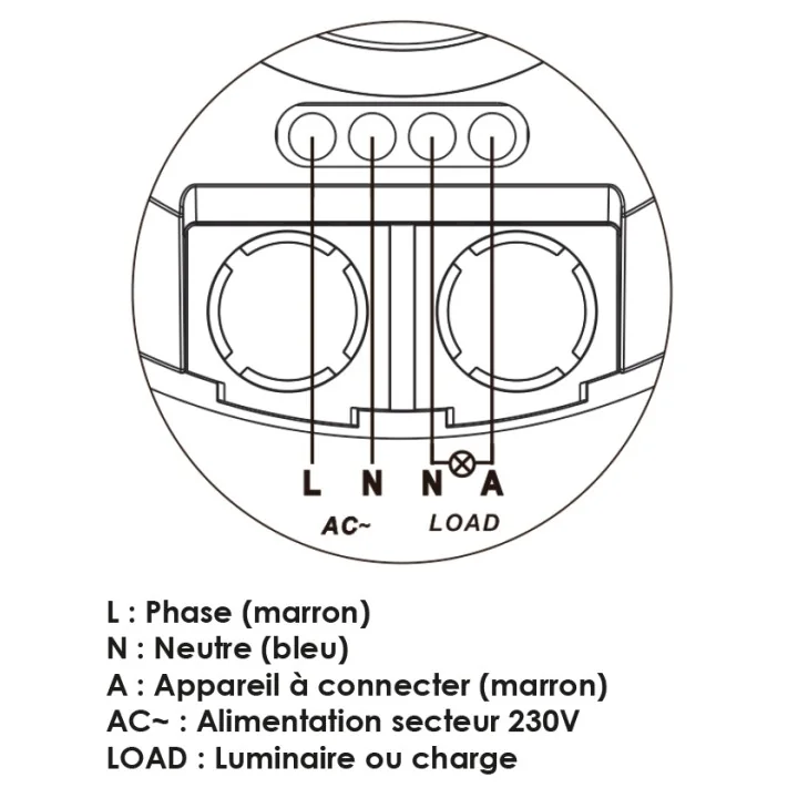 Détecteur de Mouvement Intérieur HF 360° WOLTZ